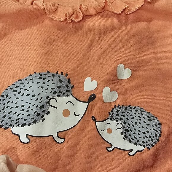 5 Piece Toddler Girl's Clothing Lot Size 12-18 Months - Picture 8 of 10